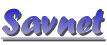 Savnet